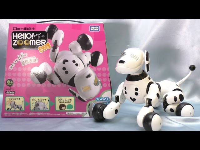 Omnibot Hello! Zoomer hearty Dalmatian review - YouTube