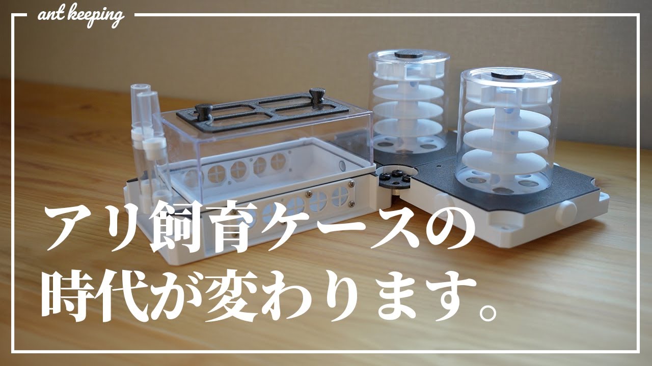 MICE】アリ石膏巣ユニット 30×20cm×2個セット MICE】アリ石膏巣