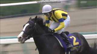 2014 皐月賞 (GI) イスラボニータ - YouTube