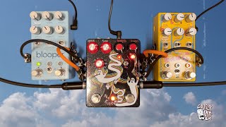 Champion Leccy - Kilter V2 - YouTube