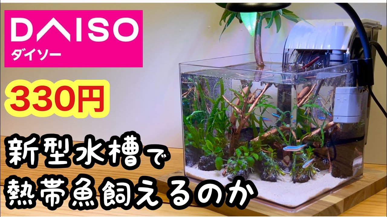 SmallAquarium Setting up and layout of a small vertical aquarium