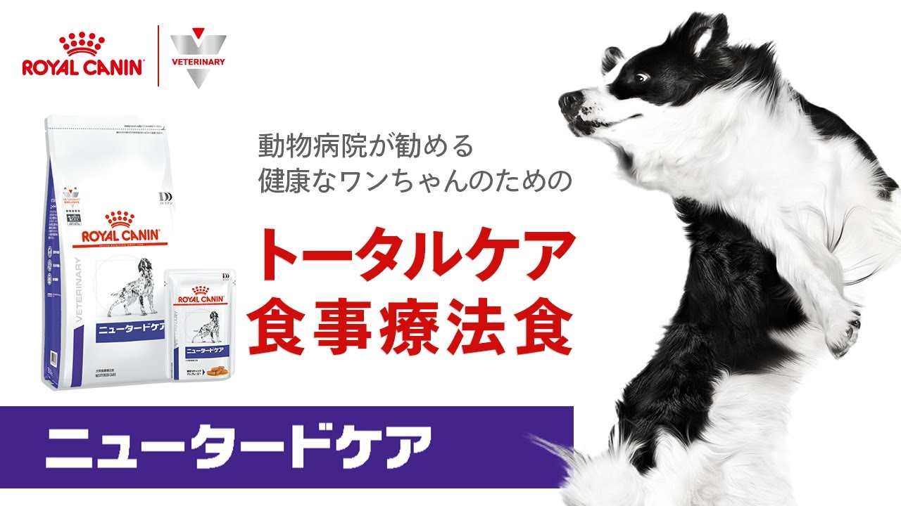 ロイヤルカナン Dライン 〈犬用〉 ニュータードケア 3kg