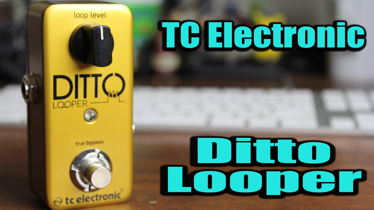 TC Electronic: Ditto Looper (Gold Edition) - YouTube