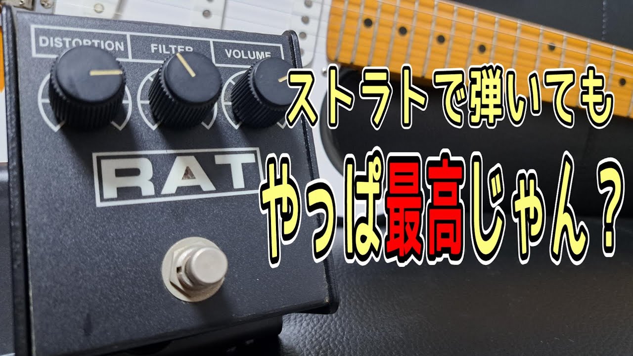 名機降臨！】Proco RAT2 & Vanzandt STV R-1 ～エフェクター試奏