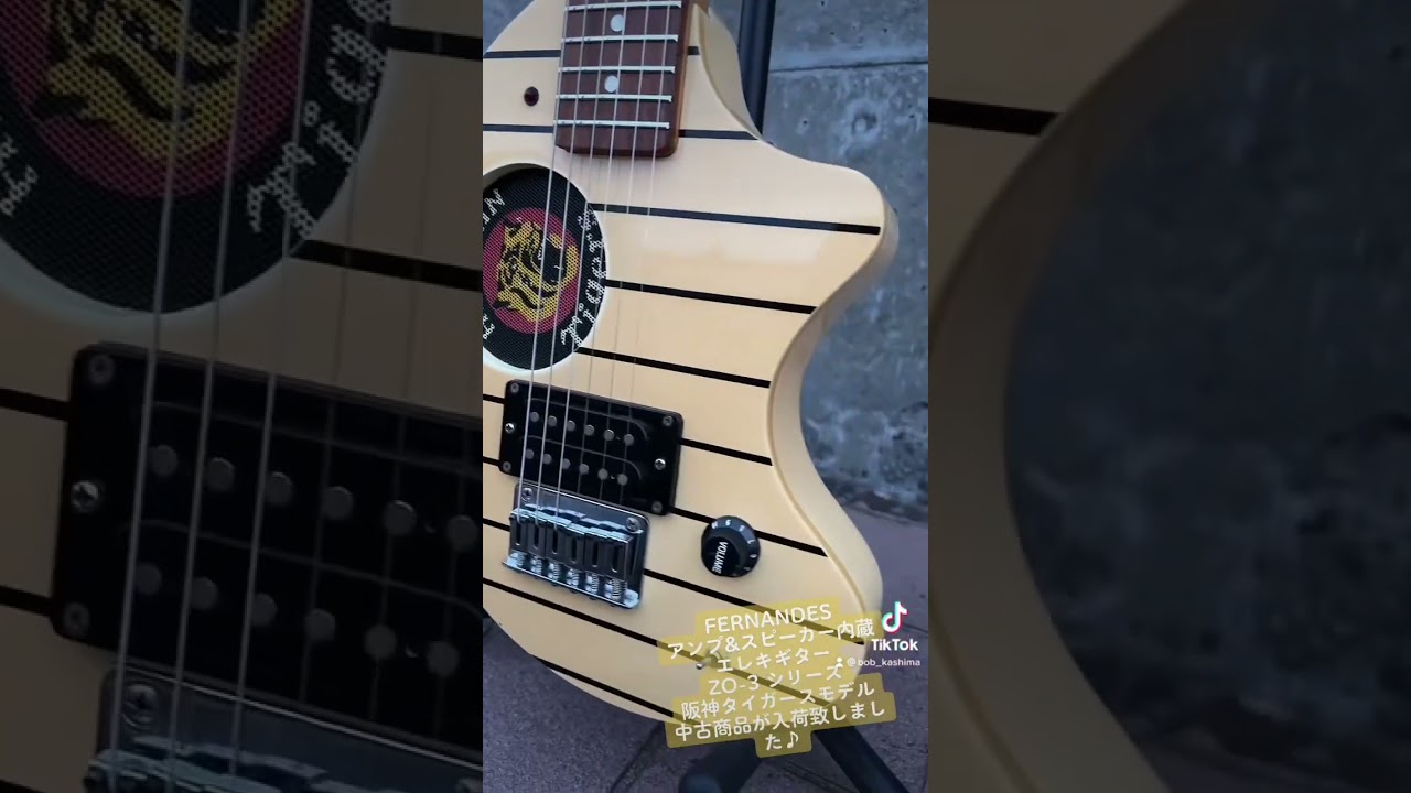 FERNANDES アンプ&スピーカー内蔵エレキギター ZO-3 シリーズ阪神