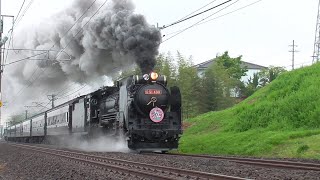 蒸気機関車 D51 654 ナンバープレート レプリカ レプリカナンバー