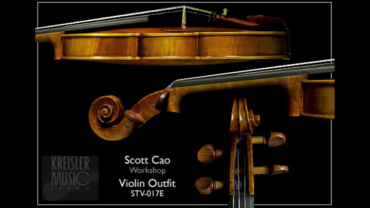 フランス laberte工房製 4/4 バイオリン H Denis 調整済み フランス