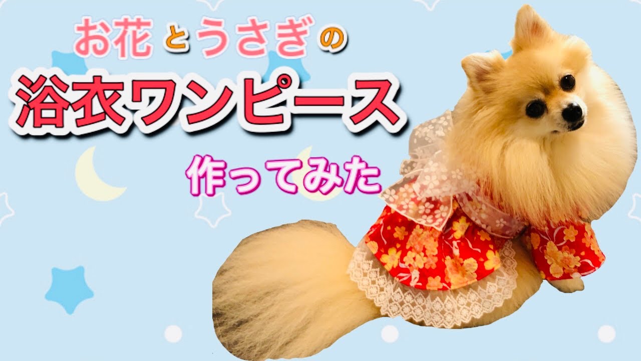 犬服】夏に着せたい🎶浴衣ワンピース - YouTube