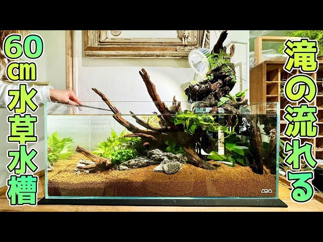 G37 灰汁抜き済み流木 爬虫類シェルター 観葉植物 インテリア G37