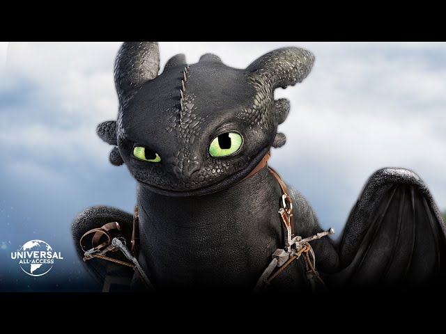 How To Train Your Dragon 2 | Hiccup Faces Danger | Extended