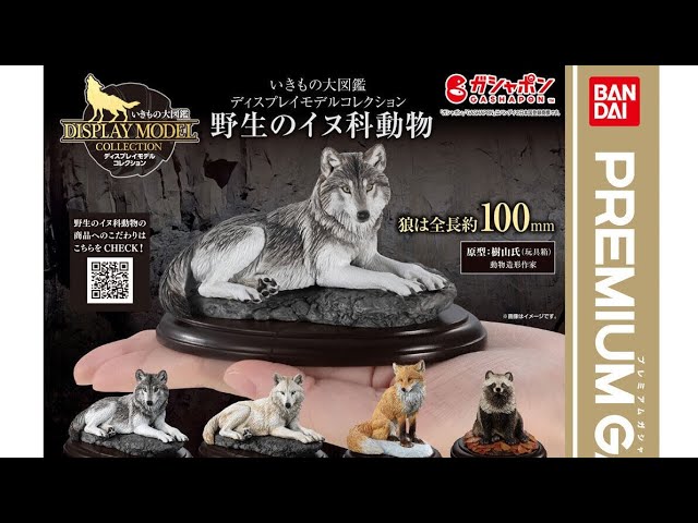 野生の犬科動物』いきもの大図鑑ディスプレイコレクション『カプセル版