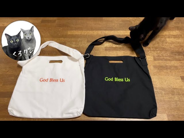 藤井風 fujiikaze レコードバッグ 藤井風 レコードバッグ fujiikaze