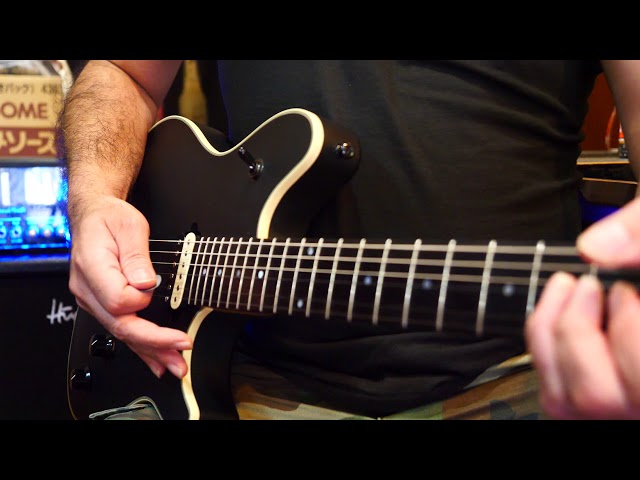 1989年 Van Halenツアープログラム+Eddyのギターピック＋半券 【公式通販】