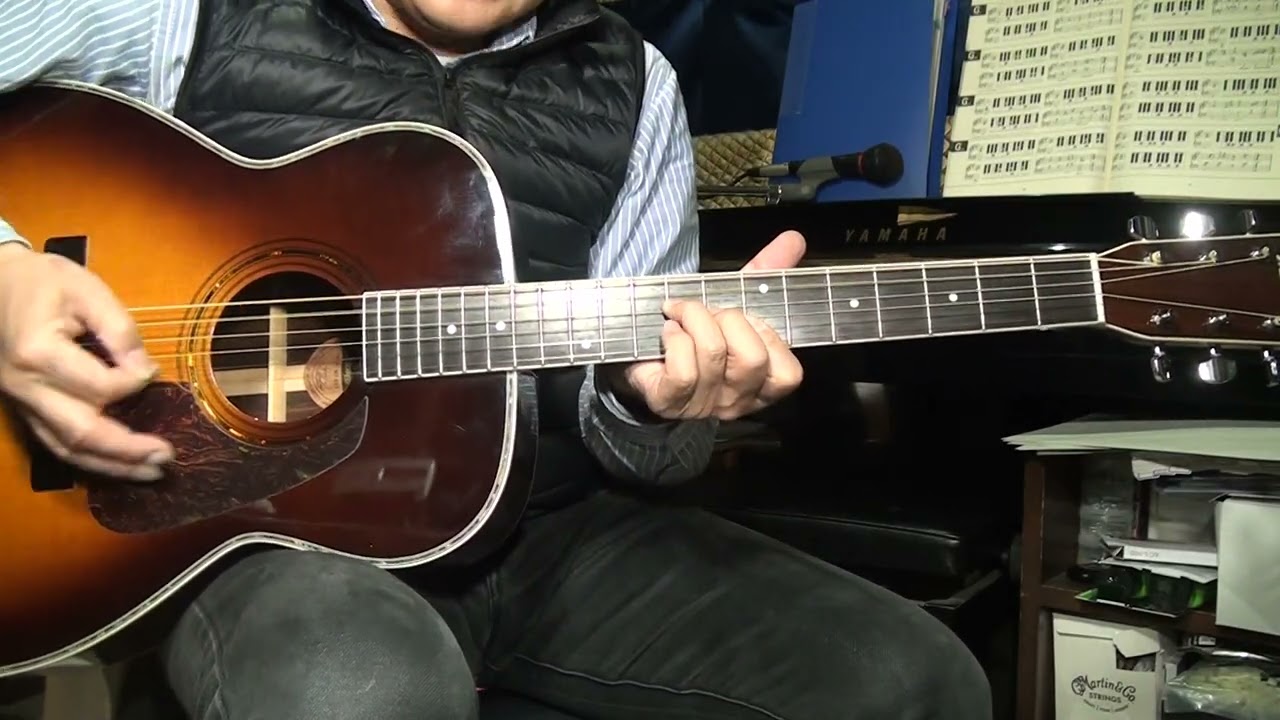 モーリス MF 601 ブラウンサンバースト バードケース付き Morris