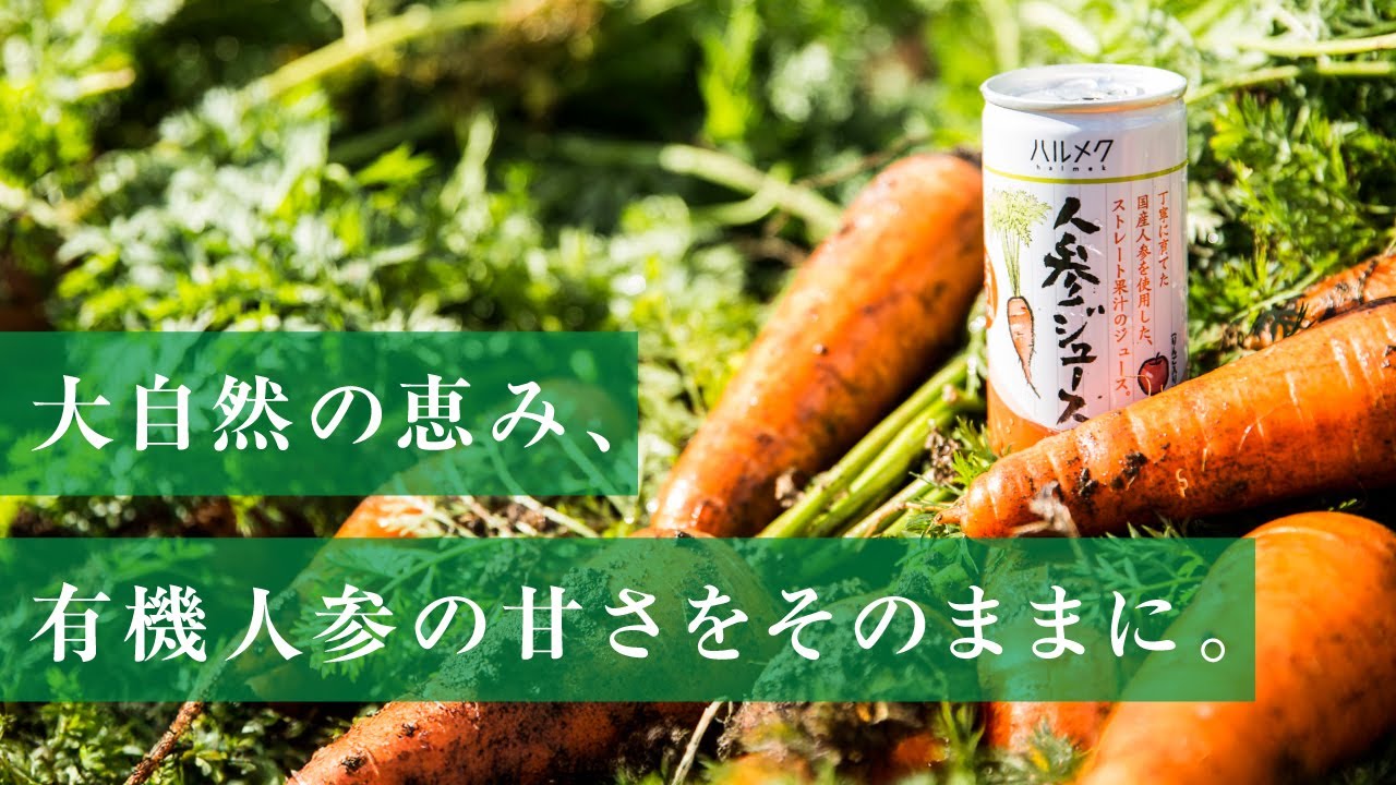 ハルメク 人参ジュース（ビン2本）: ｜ カタログ通販のハルメク