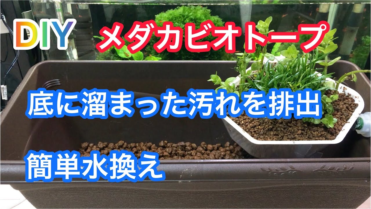 メダカビオトープ】水換え簡単！底に溜まった汚れも排出 - YouTube