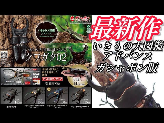 Gachapon] I'm opening the Gashapon version of the 