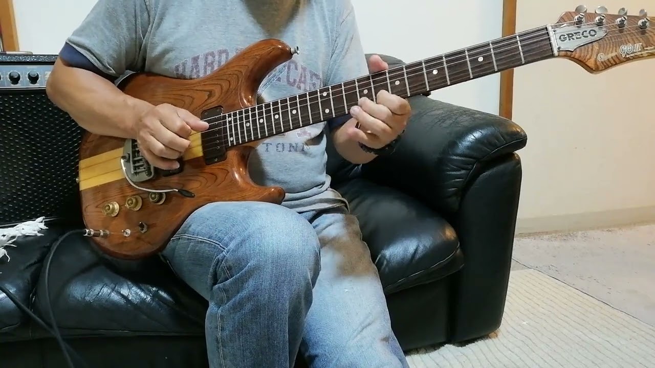 GRECO GO II グレコ ジャパンヴィンテージ GRECO GO II グレコ