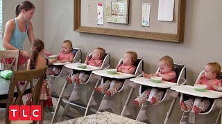 アンティークドール 五つ子ベビー 希少な五人セット 可愛い赤ちゃん