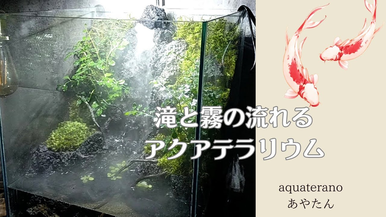 滝と霧の流れるアクアテラリウム m3150m 滝と霧の流れるアクア
