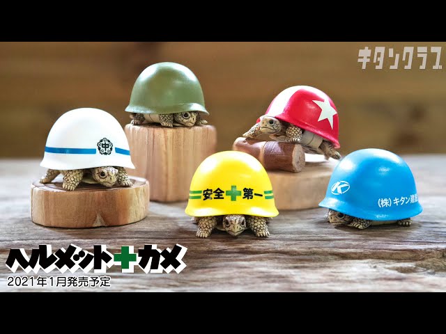 ヘルメット＋カメ - YouTube