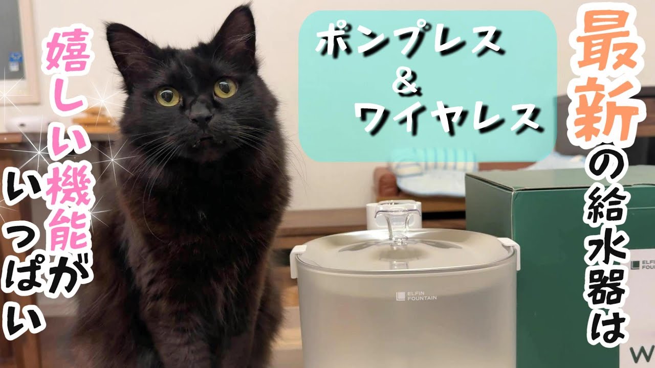 The much talked about automatic water dispenser has arrived in our