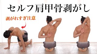 aki-hisa ELECTRO 肩甲骨剥がし ボディ フェイシャル aki-hisa様専用