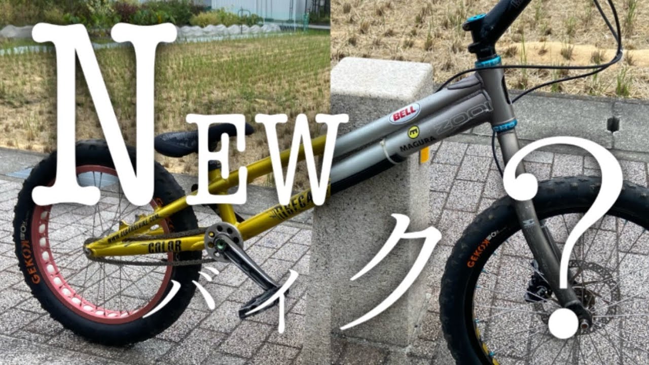 20インチ ブレーキレス ストリートトライアルバイクを作った結果 ZOO