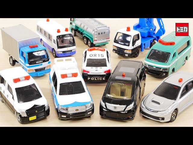 A collection of various police vehicles including undercover