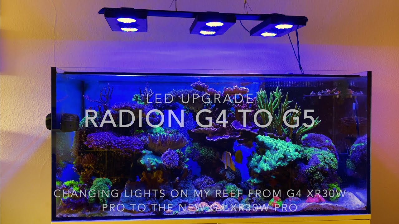 ラディオンG4 Pro エコテックマリン｜LSS Laboratory Radion G4 Pro