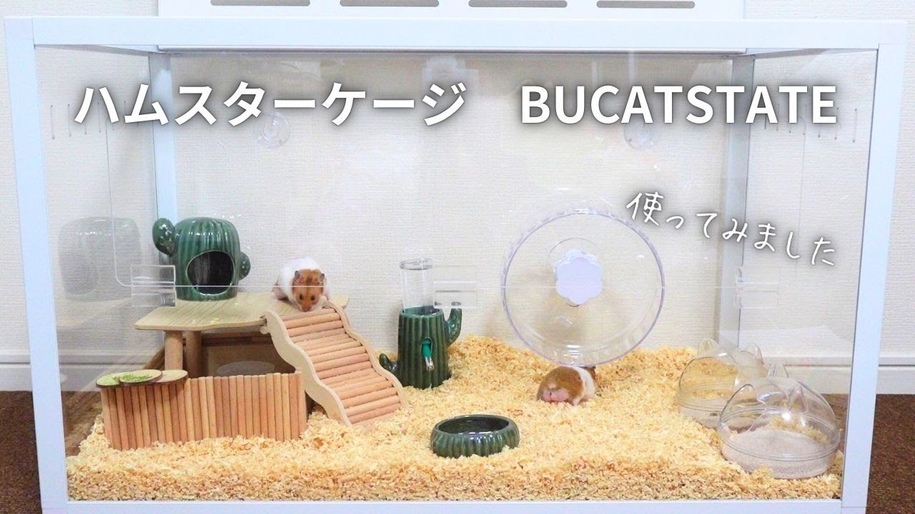 BUCATSTATE ブカスター 新版 700 ハムスター ケージ 箱に傷有