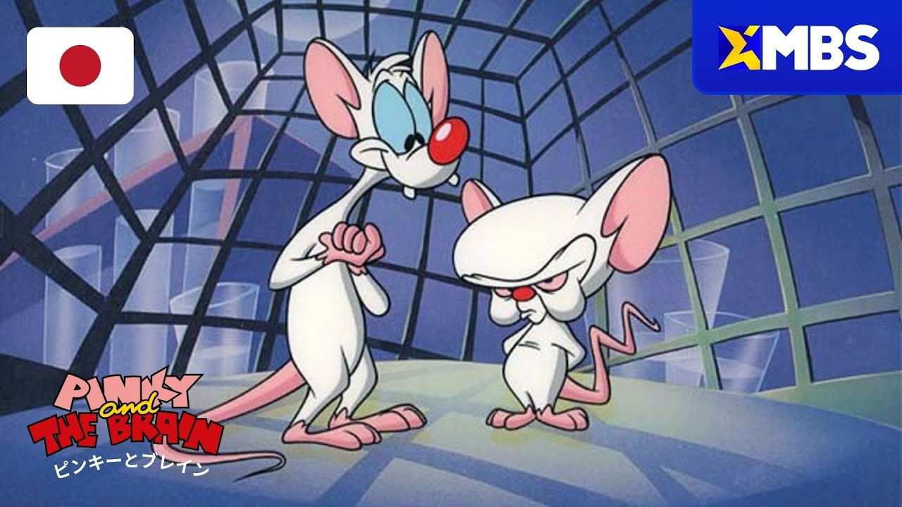 ワーナーブラザース ピンキー&ブレイン ワーナーブラザース ピンキー