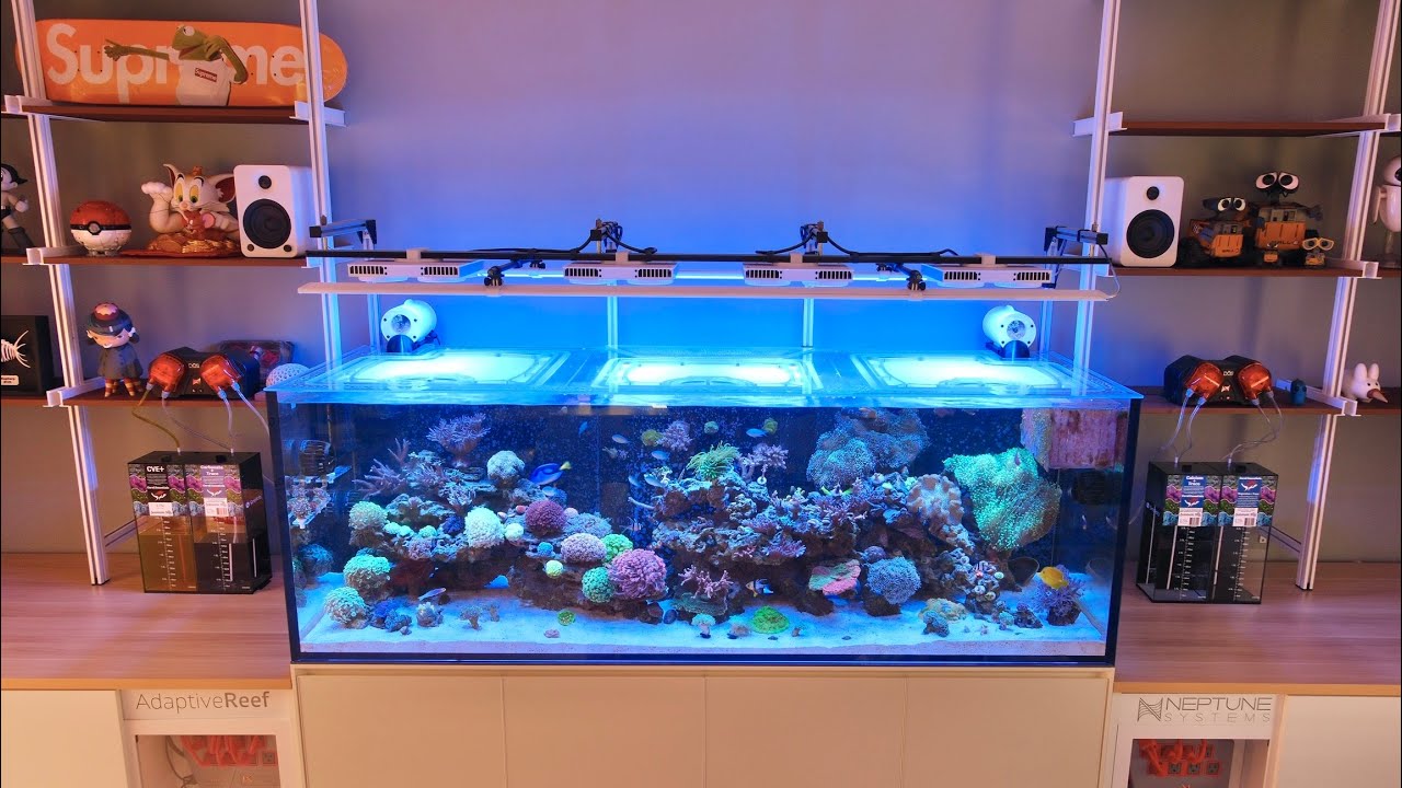 ZOOX Optimus Reef Nano2 LEDライト 【公式通販】