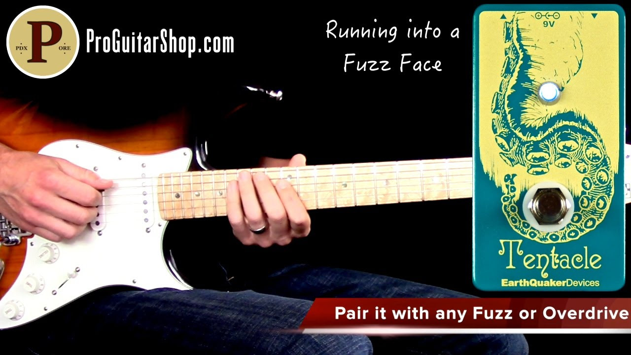 Earthquaker Devices Tentacle Demo by Mike Hermans - YouTube