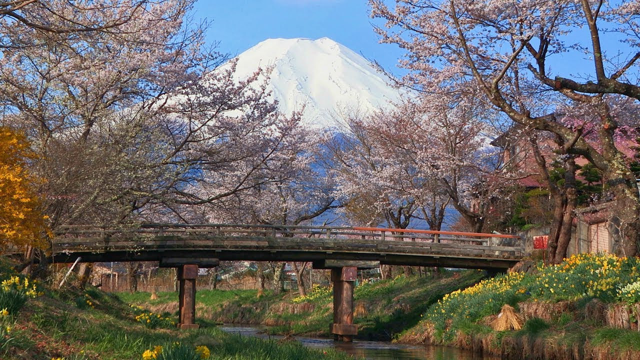 未開封 パズル 真如堂 / 善峯寺 / 富士山 富士山と忍野村 山梨 3つ