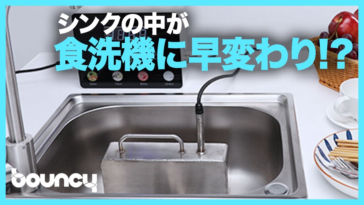次世代ポータブル 超音波食洗機「RARYON」 【公式通販】