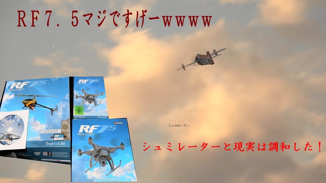 I bought the RF7.5 flight simulator and tried flying the actual