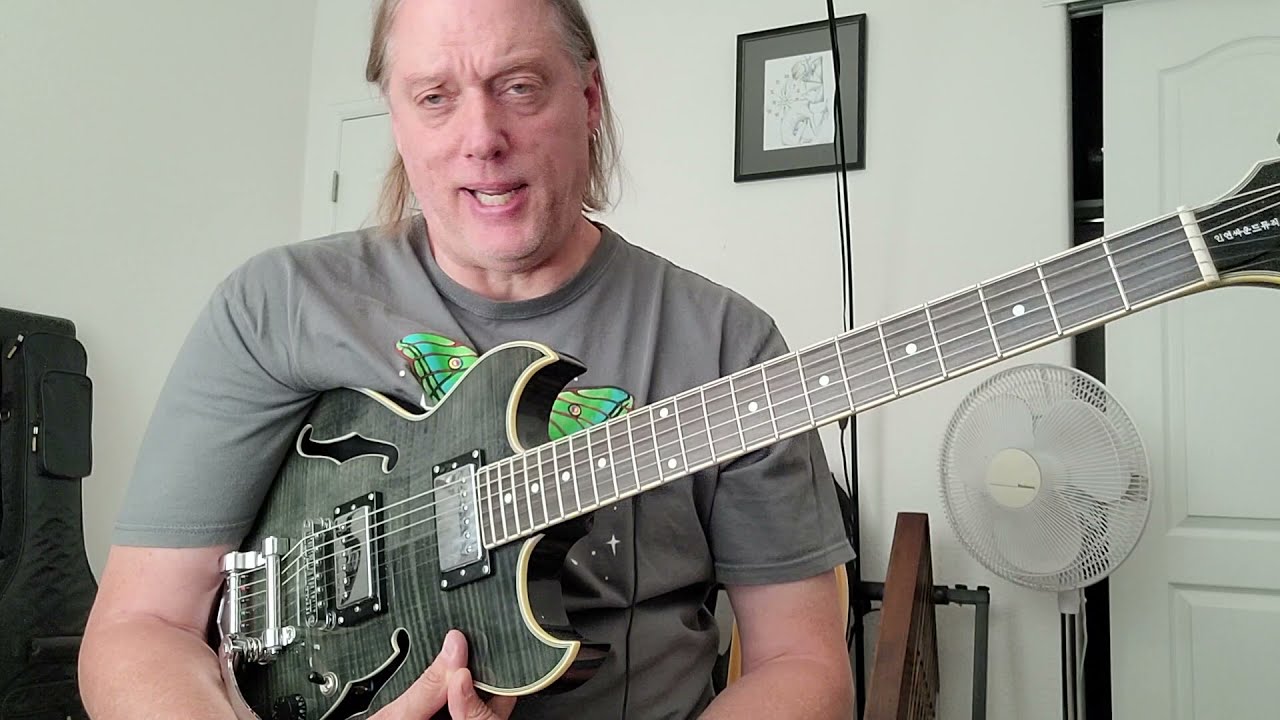 最終値下げ Inyen Vina Guitars 8弦ギター 最終値下げ Inyen Vina