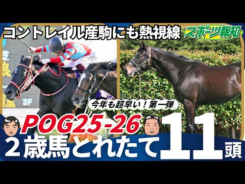 キタノコマンドール 全出走レース 現地 応援馬券