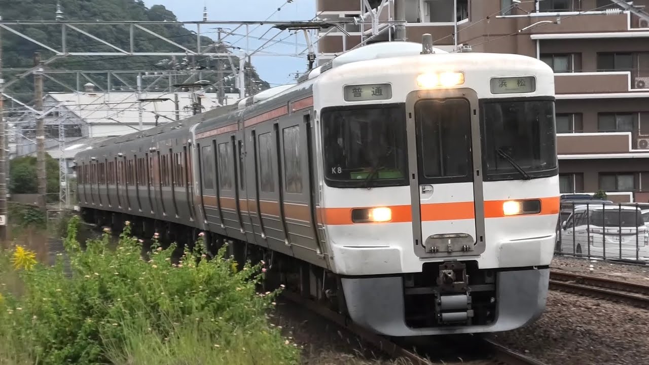 1*f様 JR東海 313系 側面方向幕 行先幕 2001年8月 名古屋 大垣 1*f様