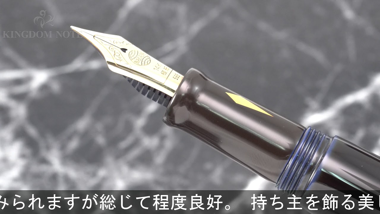 NAKAYA 中屋万年筆 万年筆 セルロイド 鼈甲（べっこう） 細軟 中屋