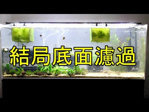 Aquarium】#019：120cmコリドラス水槽立ち上げ -結局底面濾過編- - YouTube