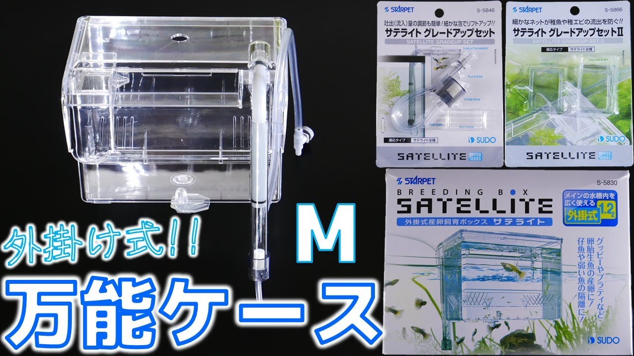 産卵箱】使いやすい標準サイズのサテライトをご紹介。グレードアップ