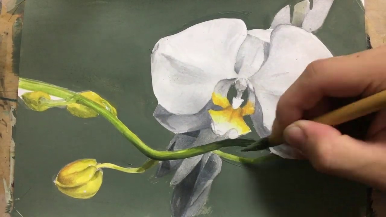 絵画作者？（胡蝶蘭と埴輪）62cm x 42cm 1980 6/120 絵画作者？（胡蝶