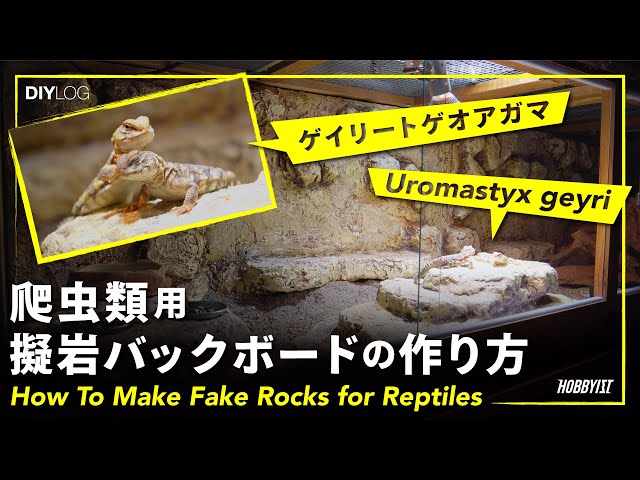爬虫類の擬岩バックボードの作り方 | How To Make Fake Rocks for