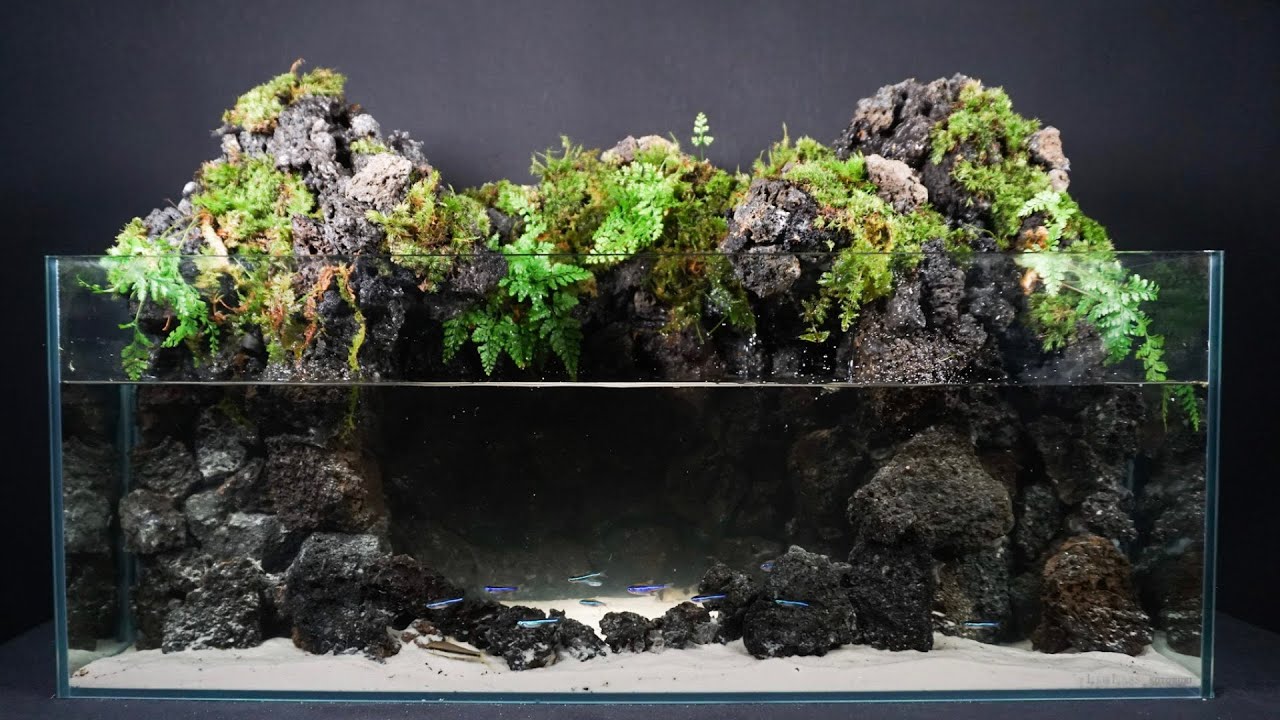 滝と霧の流れるアクアテラリウム m3150m 滝と霧の流れるアクア