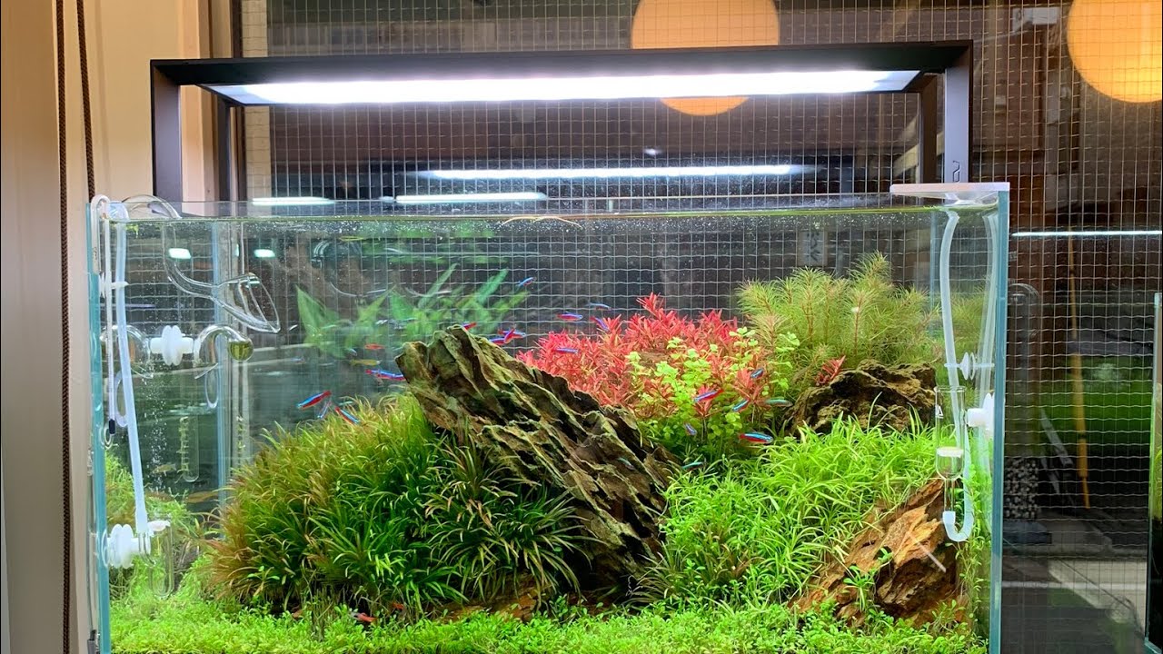 廃盤品】ADA アクアスカイ G602 アクアリウム照明 【公式通販】