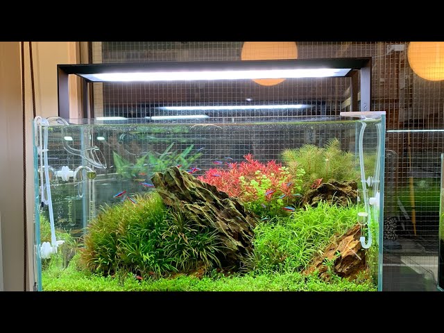 ADA アクアスカイ LEDライト 60cm水槽用