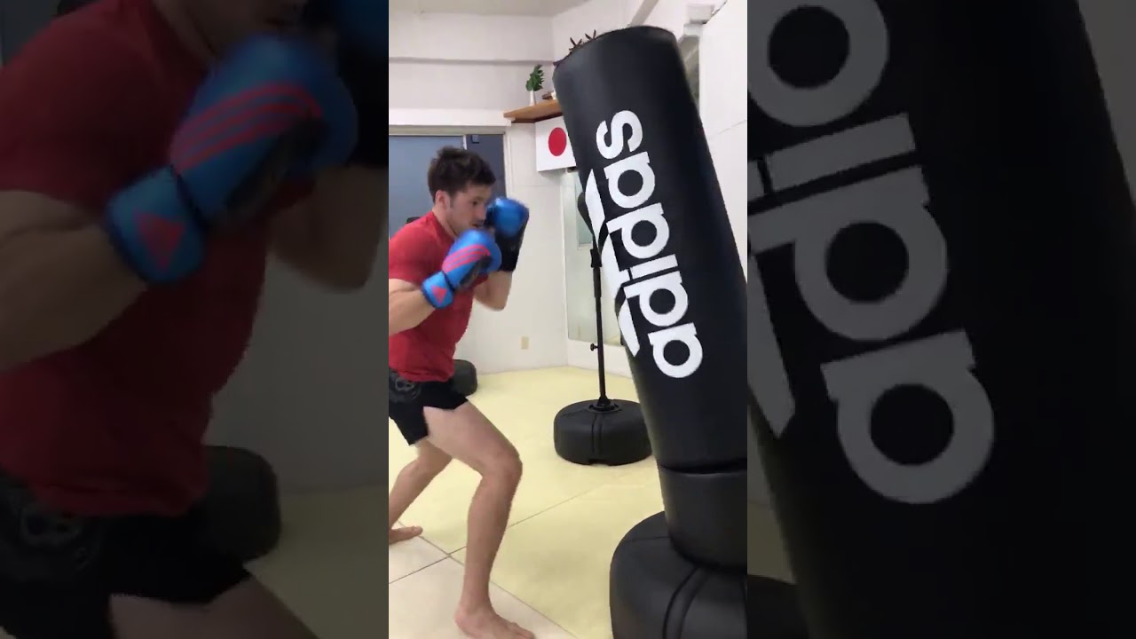 アディダス adidas ヘビー スタンディングバッグ（送料無料） - adidas