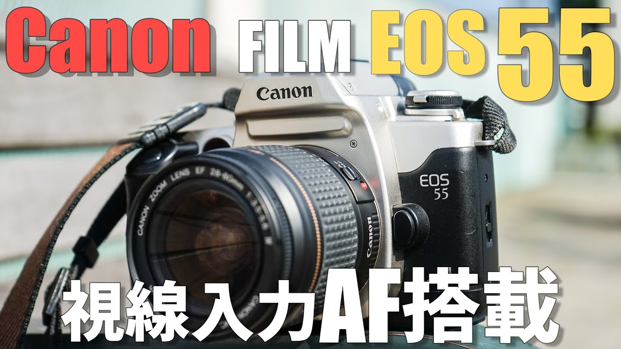 フィルムカメラ】上品なシルバーが綺麗！ canon EOS55を作例交えて紹介